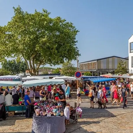 **maison 3 Pieces Avec Jardin A 350m Du Bord De - Wifi, Terrasse, Parking** - Fr-1-231-220 Tatil Evi