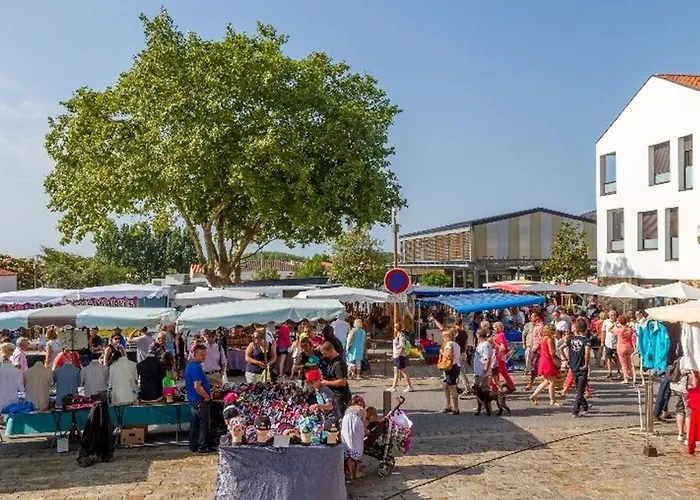 **maison 3 Pieces Avec Jardin A 350m Du Bord De - Wifi, Terrasse, Parking** - Fr-1-231-220 Tatil Evi